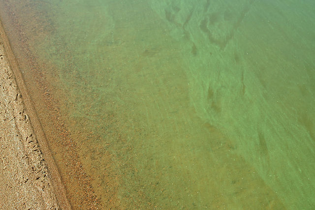 Sinilev&auml;&auml; K&ouml;yli&ouml;nj&auml;rvess&auml;